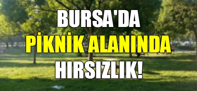 Bursa'da hırsızlık!