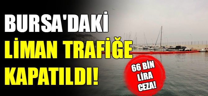 Bursa'da liman trafiğe kapatıldı