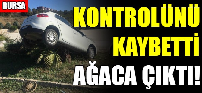 Bursa'da kaza!