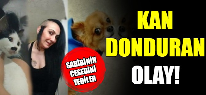Kan donduran olay!