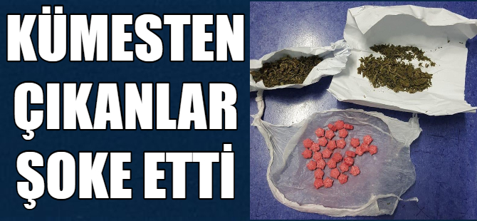 Kümesten uyuşturucu çıktı