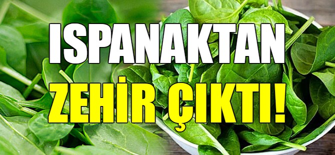 Ispanaktan zehir çıktı
