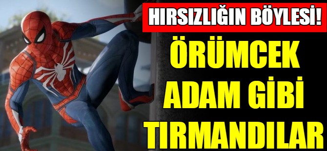 Örümcek adama özendiler