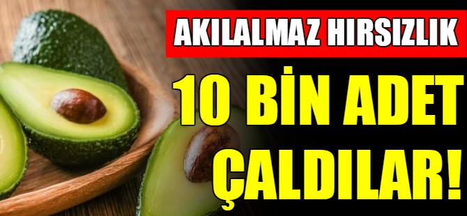 Akılalmaz hırsızlık!