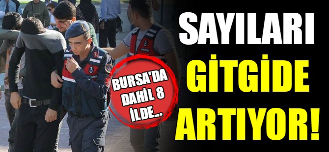 Gıda hırsızlığında büyük artış!