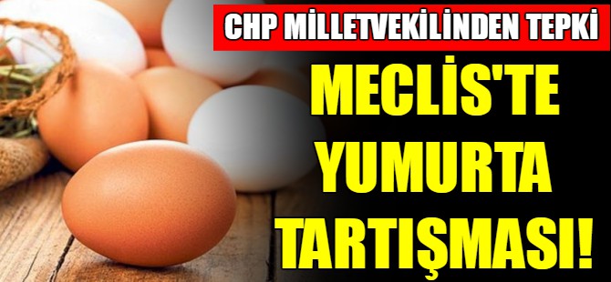 Meclis'te yumurta tartışması