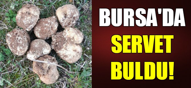 Servet buldu!