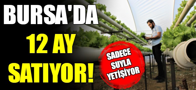 Bursa'da suyun içinde üretti