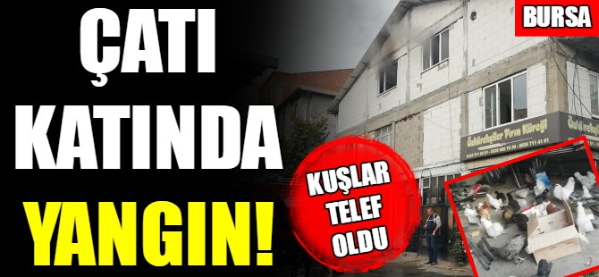 Bursa'da yangın paniği!