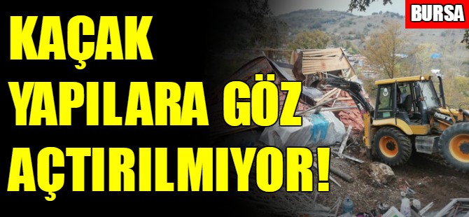 Bursa'da yıkım!