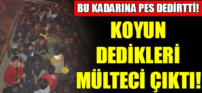 Bu kadarına pes dedirtti!