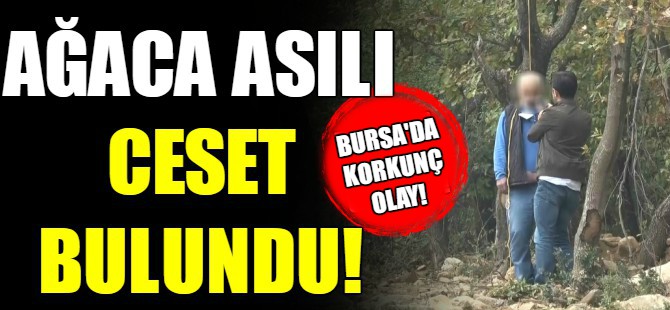 Bursa'da ağaçta asılı bulundu