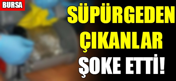 Bursa'da süpürgeden çıkanlar şoke etti!