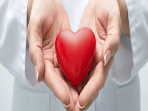 Bursa organ bağışında zirvede