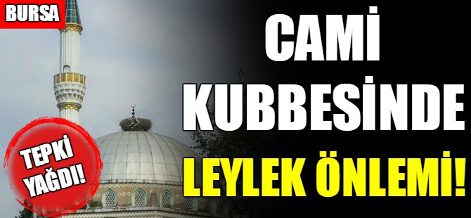 Cami kubbesine leylek konmasın diye...