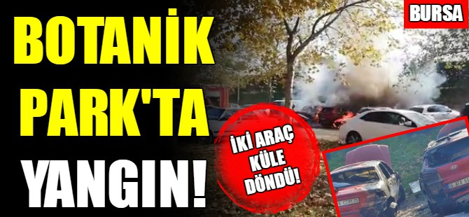 İki araç kül oldu!
