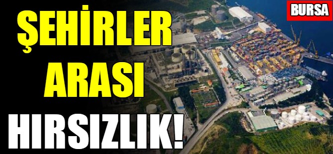 Bursa'da çaldı İstanbul'da yakalandı