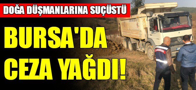 Bursa'da ceza yağdı!