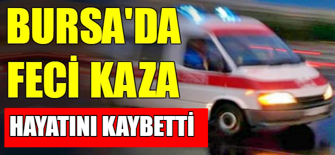 Otomobil çobana çarptı