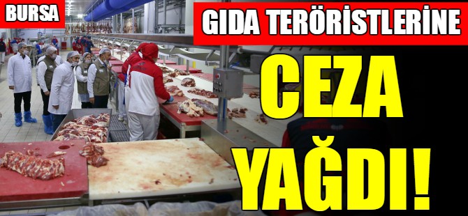 Bursa’da 491 firmaya ceza kesildi