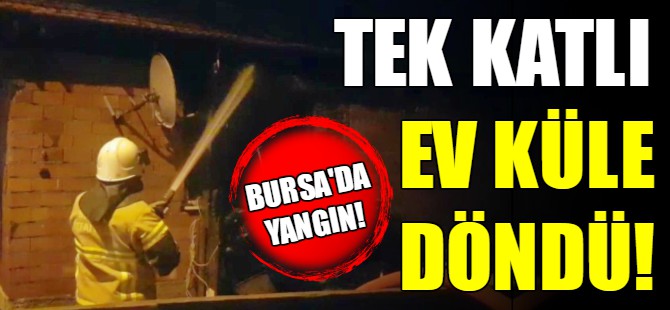 Bursa'da yangın!