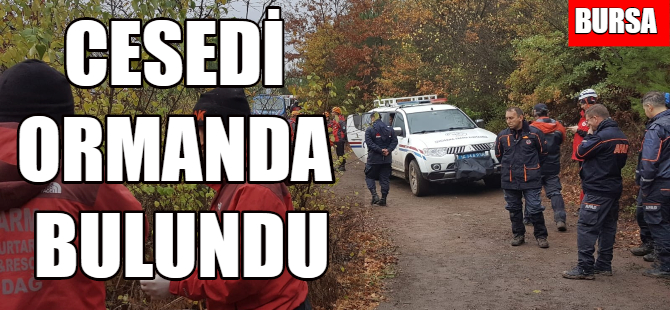 Cesedi ormanda bulundu