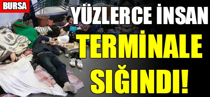 Bursa'da terminale sığındılar!