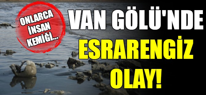 Van Gölü’nde tüyler ürperten olay