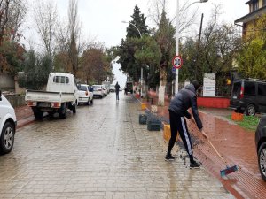 Bursa'da 450 kilo zeytin yola saçıldı