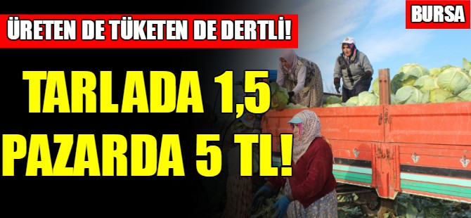 Tarlada 1,5 pazarda ise 5 TL