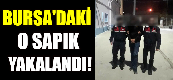 Çocuk istismarcısı yakalandı