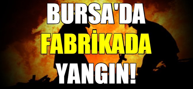 Bursa'da fabrika yangını!