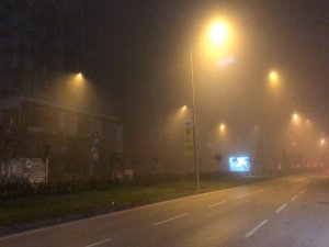 Bursa'da yoğun sis