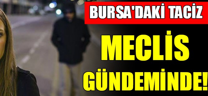 CHP Bursa milletvekilinden tepki