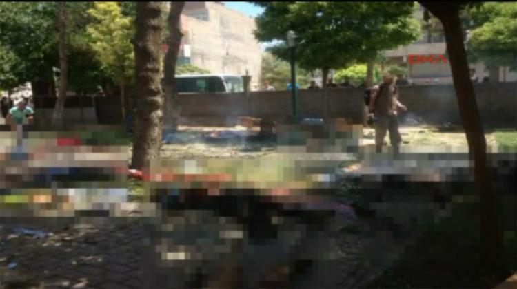Suruç'taki saldırıyı 18 yaşındaki kadın gerçekleştirdi iddiası