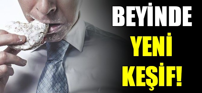 Beyinde yeni keşif