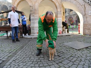 “Çizmeli” değil, “Bereli” kedi