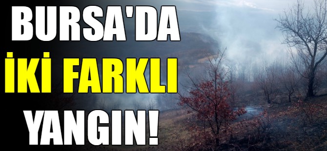 Bursa'da yangın!