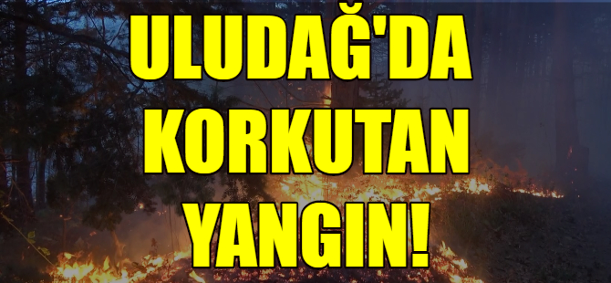 Uludağ'da yangın!