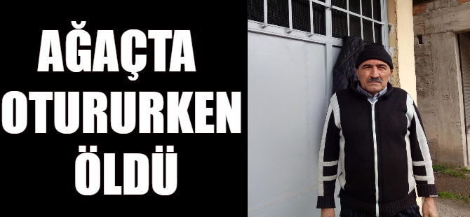 Ağaçta otururken öldü