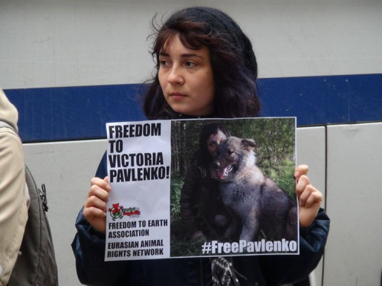 Hayvan hakları savunucuları protesto etti