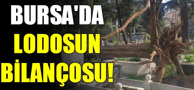 Bursa'da lodosun bilançosu!