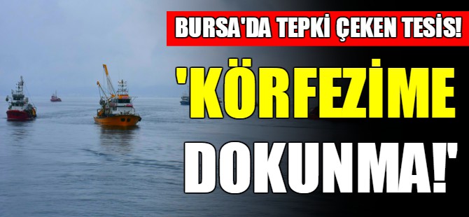 Bursa'da tepki çeken tesis