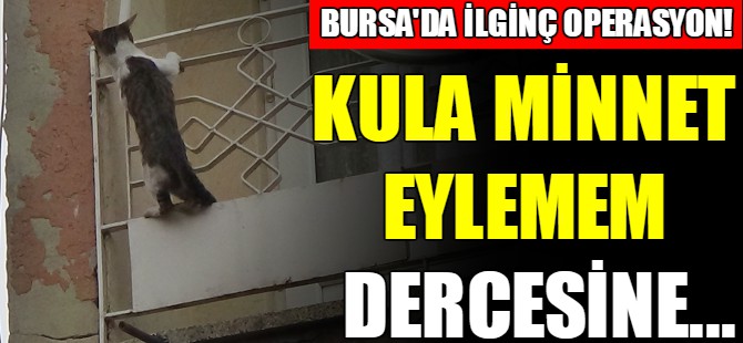 Kula minnet eylemem dercesine...