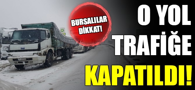 Bursa-Ankara yolu trafiğe kapatıldı