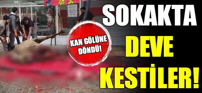 Sokakta deve kestiler