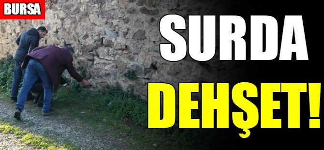 Surda dehşet!