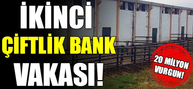 İkinci Çiftlik Bank vakası!