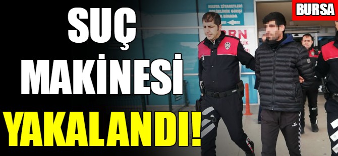 Suç makinesi yakalandı