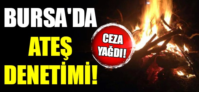 Bursa'da ateş denetimi
